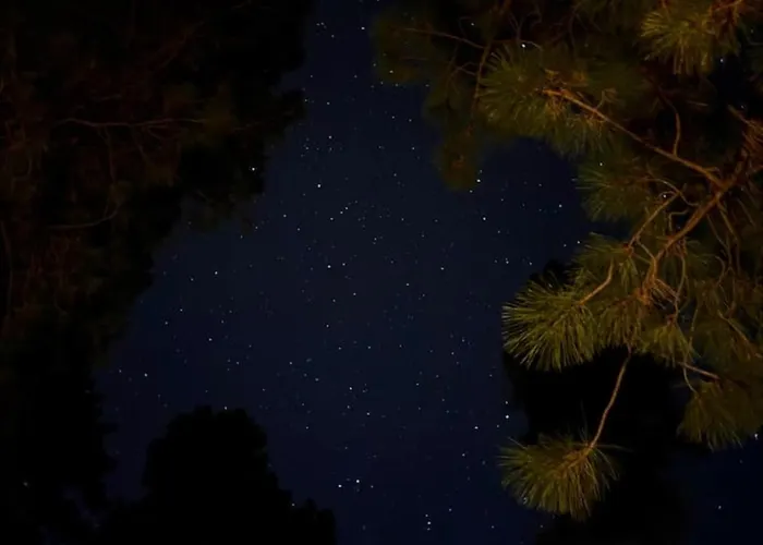 Quiet Luxury Near Dtown, Nau & Snowball * Flagstaff